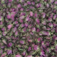 گل محمدی|گل و گیاه طبیعی|فریمان, |دیوار