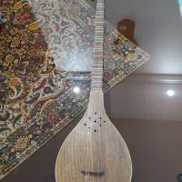سه تار با کیف کاور