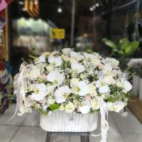 باکس گل خواستگاری و تولد و...