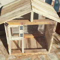 لانه چوبی پرنده