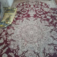 قالی 12 متری
