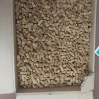 توت خشک ولیان
