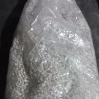 بـذرقـارچ دکمـه ای