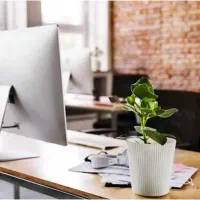 55متر-موقعیت-اداری-سپه-رودکی