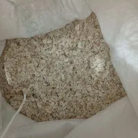 جو پرک ودوسر پرک
