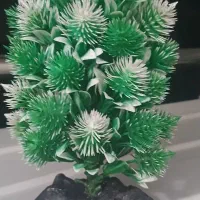 تعدادی لوازم آکواریوم