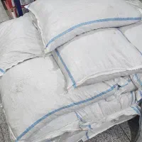 مویز بش و دشمن زیاری گوشتی