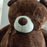 خرس بزرگ 2متری