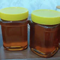 عسل|خوردنی و آشامیدنی|دوگنبدان, |دیوار