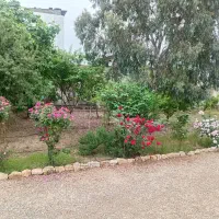 تهاتر ۳۱۵ متر زمین مسکونی جاده دریا