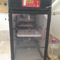 دستگاه جوجه کشی درنا (اسکندری)