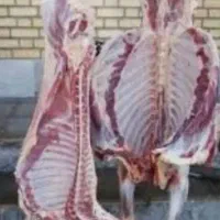 قصابی وکشتار، گاو، گوسفنددرخانه شما قصابی سیار