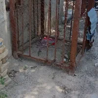 قفس بزرک