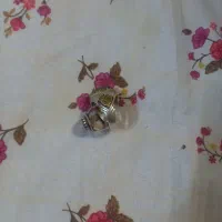 انگشترپیداه شده