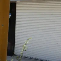 به نام خدا اجاره مغازه ۹۰ متری در خزانه