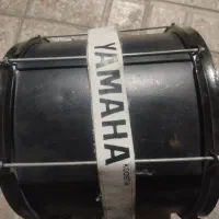 دو عدد دوقل حرفه ای