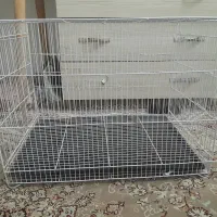قفس پرنده