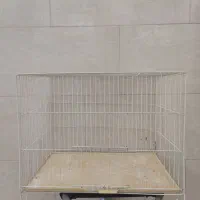 قفس