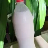 دوغ تازه