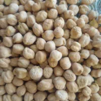 نخود تازه امسال