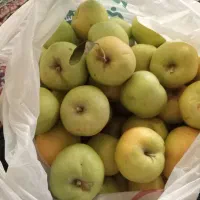 سیب آب دار شیرین تازه چیده شده