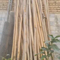 چوب سقف