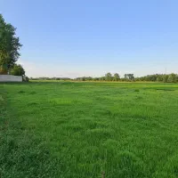360متر-زمین-مسکونی-ویک-ابدی-بر-اسفالت
