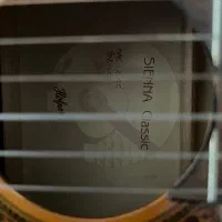 گیتار هافنر