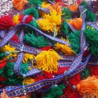 شیردنگ 14متری