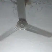 پنکه سقفی