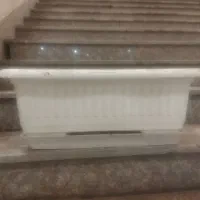 گلدون|گل و گیاه طبیعی|مشهد, سراب|دیوار