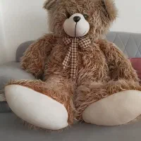 خرس بزرگ