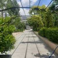 ابسرد ۳۰۰متر فاز سه دیوار شده