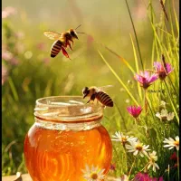 عسل ۱۰۰درصدطبیعی دکتربیز برای افراد دیابتی و غیره