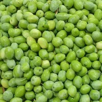 زیتون|خوردنی و آشامیدنی|ایلام, |دیوار