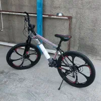 دوچرخه حرفه ای 26