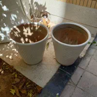 گلدان بزرگ