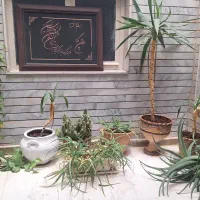 گل و گلدان