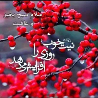 418مترمربع-برای-مشارکت-درکوی-جدید-پردیسان