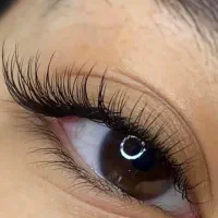 اریشگری|خدمات آرایشگری و زیبایی|شیراز, شاه قلی بیگی|دیوار