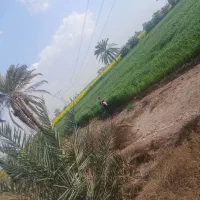 مونتاژ و اجرای فنی رنگ وجوش اجرای تیرچه وقالب بتن