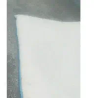 موکت ۱۲ متری پالاز جنس خوب
