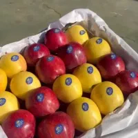 نیازبه شریک سرمایه گذاردریک مجموعه بزرگ بسته بندی