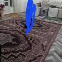 ۱باب حیاط اجاره