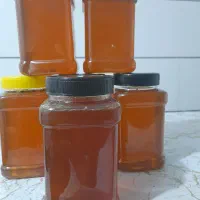 فروش عسل طبیعی
