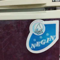 یخچال و فریزر نگین