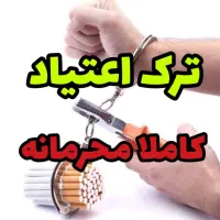 ترک اعتیا*د گیاهی برای شاغلین