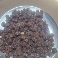 آلوچه ملس محلی اورگانیک