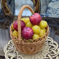 ارغوان بافی یه کار ترند و خاص