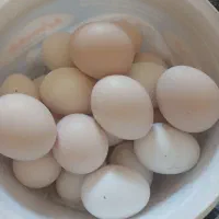 سلام تخم مرغ سالم درشت